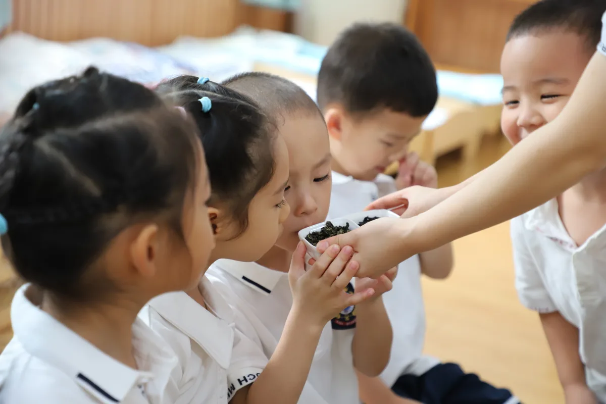 国学茶艺实景活动记录 2
