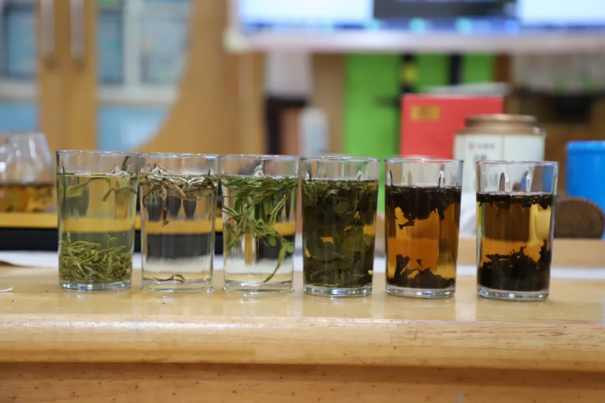 国学茶艺实景活动记录 5
