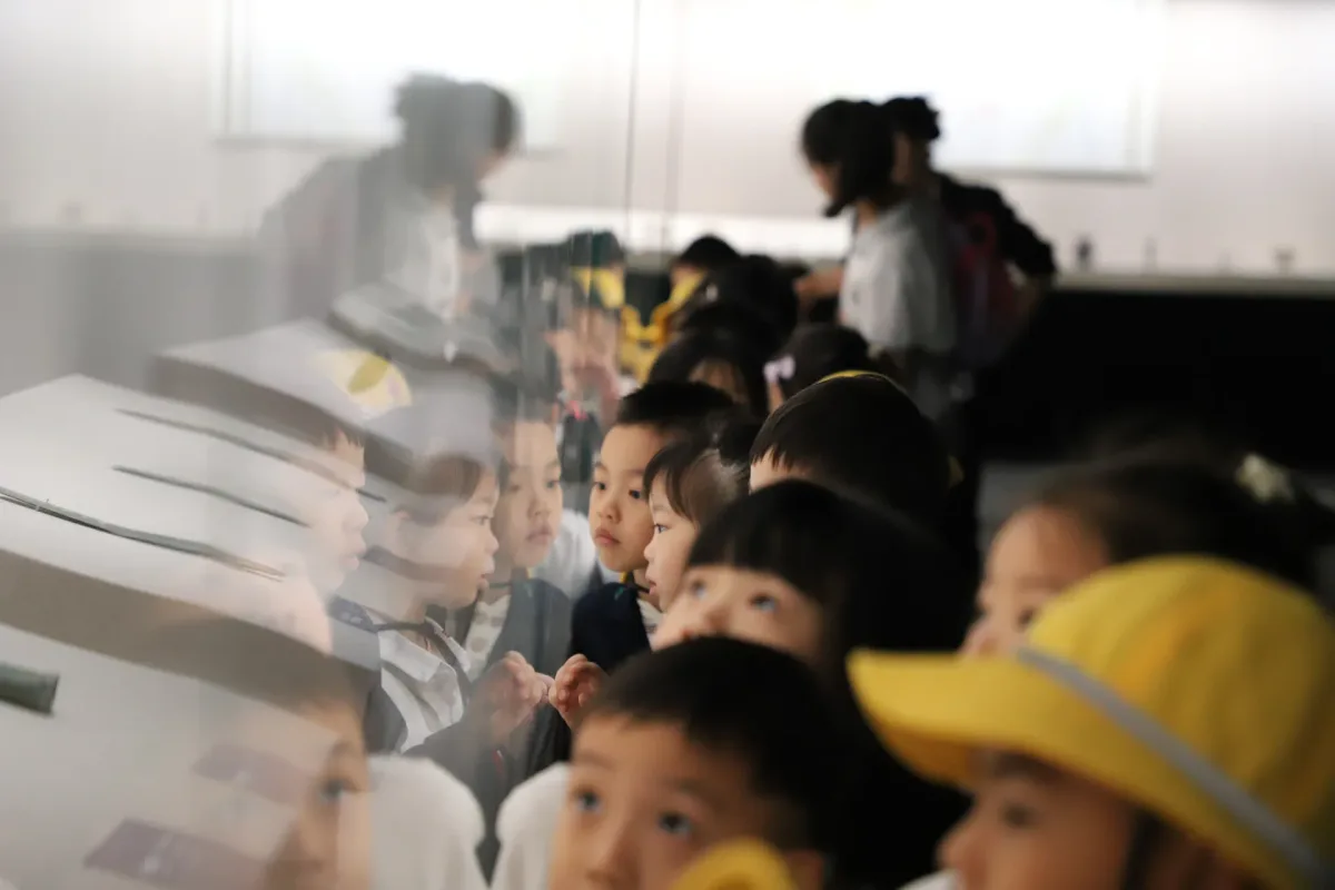 博物馆研学实景活动记录 5